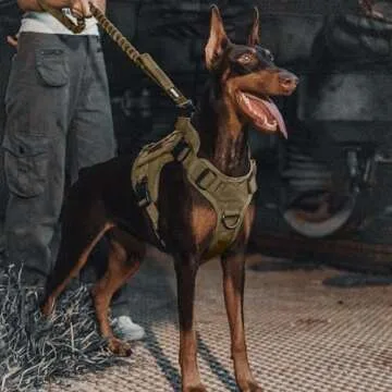 OneTigris Bungee Dog Leash for Strong Training Control