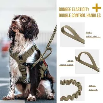 OneTigris Bungee Dog Leash for Strong Training Control