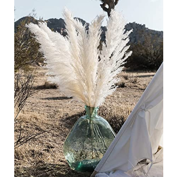 EZDC Natural 46 Inch Pampas Grass Stems for Stylish Home Decor