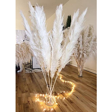 EZDC Natural 46 Inch Pampas Grass Stems for Stylish Home Decor