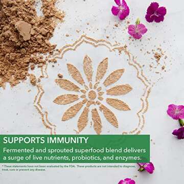 PlantFusion Complete Organic Protein Powder - Plant Based Protein Powder with Fermented Superfoods - Keto & Vegan Friendly, Gluten Free, Soy Free, Non-Dairy, No Sugar, Non-GMO - Chocolate 2 lb