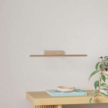 FUNCHDAY Picture Light,5000mAh Battery Operated Picture Light for Wall,Wireless Remote Painting Ligh...