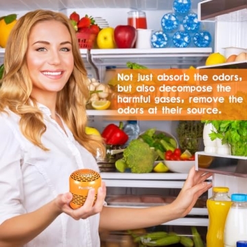Refrigerator Deodorizer for Freshness Lasting 10 Years
