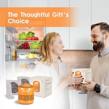 Refrigerator Deodorizer for Freshness Lasting 10 Years