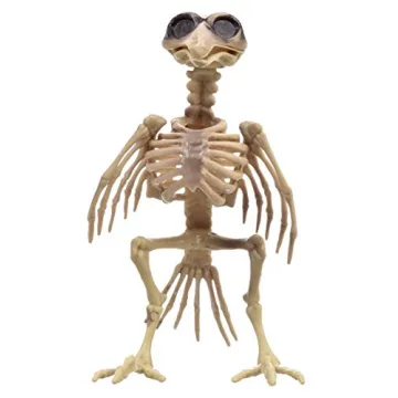 Creepy Bird Skeleton Prop for Halloween Decor and Costumes