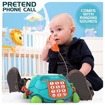 Early Learning Musical Turtle Toy for Kids 6-18 Months