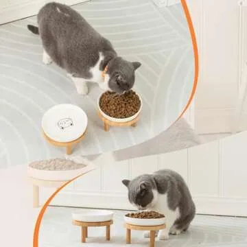 Lusifaco Shallow Elevated Cat Bowls,5.9 Inch Wide Raised Ceramic Cat Dishes with Bamboo Stand, Whisker Friendly Pet Water or Food Plates Feeding Station for Indoor Cats, Kitten(Pink,Set of 2)