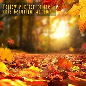 Autumn Fragrance Oils, MitFlor Premium Scented Oils, Essential Oils for Diffuser, Candle & Soap Making Scents, Fall Aromatherapy Oil Gift Set, Cinnamon, Orange Spice, Vanilla Pumpkin and More