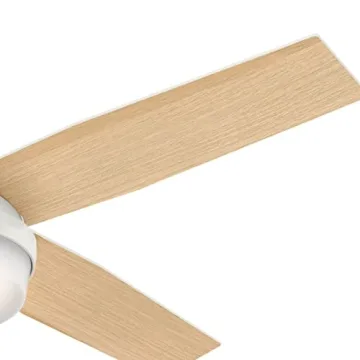 Hunter 52" Dempsey Ceiling Fan with LED Light