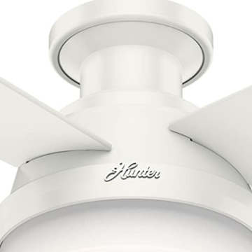 Hunter 52" Dempsey Ceiling Fan with LED Light