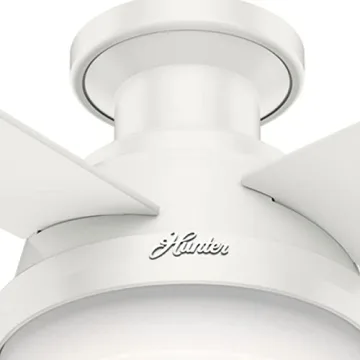 Hunter 52" Dempsey Ceiling Fan with LED Light