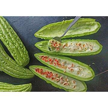 Buy Gaea's Blessing Bitter Melon Seeds - Non-GMO Heirloom