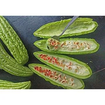 Buy Gaea's Blessing Bitter Melon Seeds - Non-GMO Heirloom