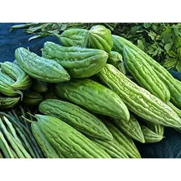 Buy Gaea's Blessing Bitter Melon Seeds - Non-GMO Heirloom