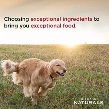 Quality Chicken & Rice Dry Dog Food for All Life Stages