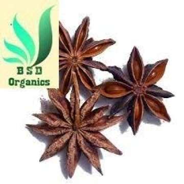 BSD Organics Spicy Natural Annachipoo/Star Anise/chakr phool for hot beverages, stews, savory dishes...