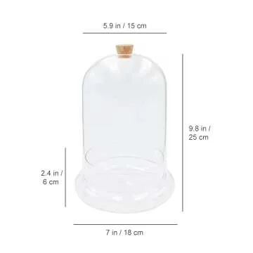 WAVY STUDIO 10" Handblown Glass Terrarium for Plants