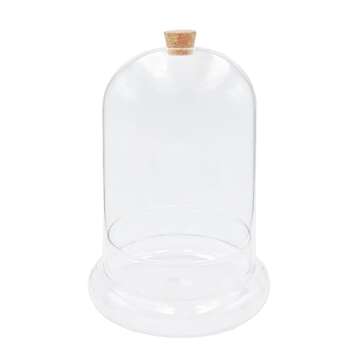 WAVY STUDIO 10" Handblown Glass Terrarium for Plants