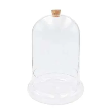 WAVY STUDIO 10" Handblown Glass Terrarium for Plants