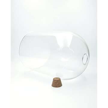 WAVY STUDIO 10" Handblown Glass Terrarium for Plants