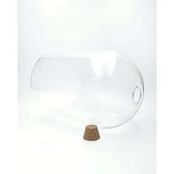 WAVY STUDIO 10" Handblown Glass Terrarium for Plants