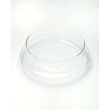 WAVY STUDIO 10" Handblown Glass Terrarium for Plants