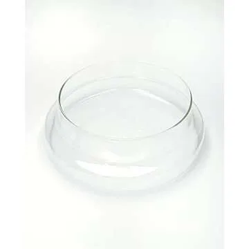 WAVY STUDIO 10" Handblown Glass Terrarium for Plants