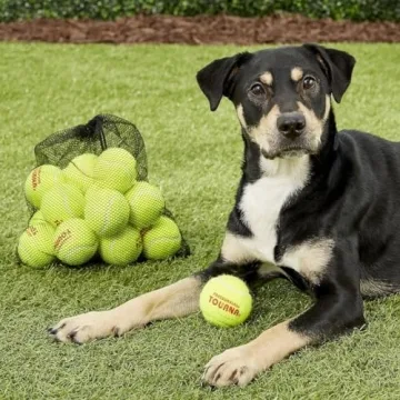 Tourna Tennis Ball Tote with 50 Pressureless Balls