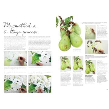 Anna Mason's Watercolour World - Your Painting Guide