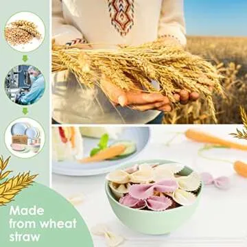 Teivio 16-Piece Unbreakable Wheat Straw Dinnerware Set