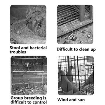 Pigeon Cage for Pairing and Nesting | Durable & Versatile