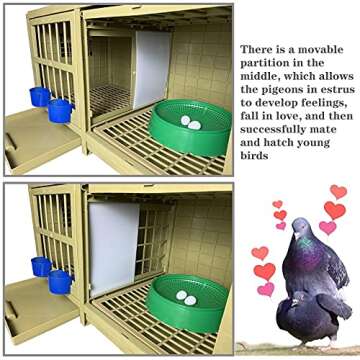 Pigeon Cage for Pairing and Nesting | Durable & Versatile