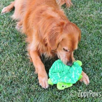 ZippyPaws Squeakie Crawler- No Stuffing Dog Toy to Keep Them Busy, For Small, Medium, & Large Dogs, Squeaky Pet Toy for Boredom, Unstuffed Chew Toy, Soft Plush Puppy Products, SlowPoke the Turtle- 10"