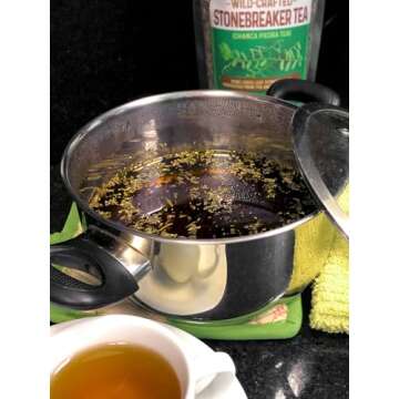 HerbaZest Chanca Piedra Tea (Stonebreaker/Stone Breaker) - 8oz (225g) - Premium Wild-Crafted & 100% Pure Loose Leaves & Stems