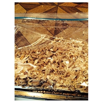 BESTBAIT 500 Live Bait Maggots for Ice Fishing & More