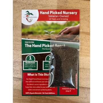 6 Joan J Raspberry Plants - A Delight for Home Gardening