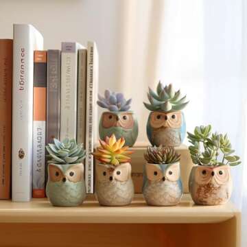 T4U 2.5 Inch Owl Ceramic Succulent Planter Pots with Drainage Hole Set of 6, Small Cute Flower Pots ...