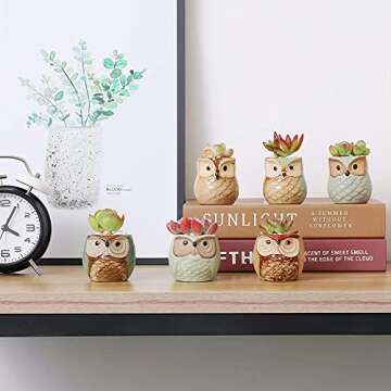 T4U 2.5 Inch Owl Ceramic Succulent Planter Pots with Drainage Hole Set of 6, Small Cute Flower Pots Plant Holder Container Best for Home Office Garden Decoration Owl Gift Ideas