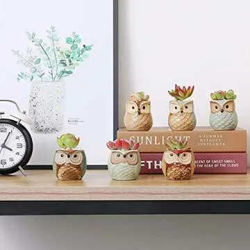 T4U Owl Ceramic Succulent Pot Set - Cute Plant Holders