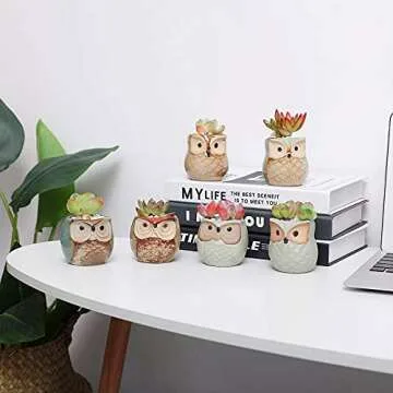 T4U Owl Ceramic Succulent Pot Set - Cute Plant Holders