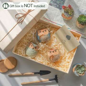 T4U 2.5 Inch Owl Ceramic Succulent Planter Pots with Drainage Hole Set of 6, Small Cute Flower Pots Plant Holder Container Best for Home Office Garden Decoration Owl Gift Ideas