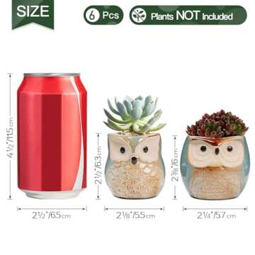 T4U 2.5 Inch Owl Ceramic Succulent Planter Pots with Drainage Hole Set of 6, Small Cute Flower Pots Plant Holder Container Best for Home Office Garden Decoration Owl Gift Ideas