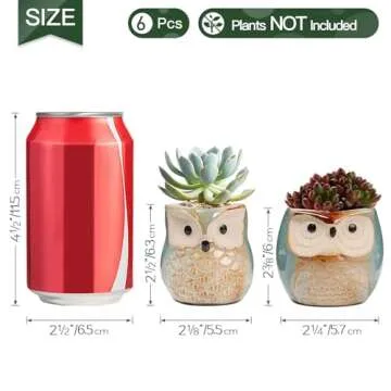 T4U Owl Ceramic Succulent Pot Set - Cute Plant Holders