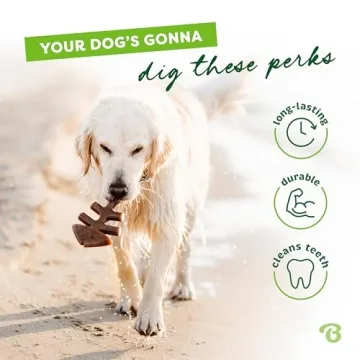 Durable Benebone Fishbone Dog Chew Toy Made in USA