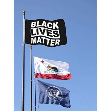 DmHirmg Black Lives Matter Flag Black Activist,Stop The Violence Flags, Justice for George Floyed Flag 3'x5' House Banner Grommets Double Stitched Premium Quality Indoor Outdoor Flag(Big Size)