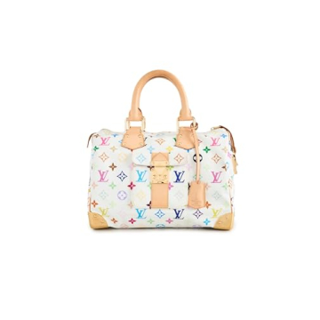 Shop Pre-Loved Louis Vuitton Rainbow Speedy30 Bag