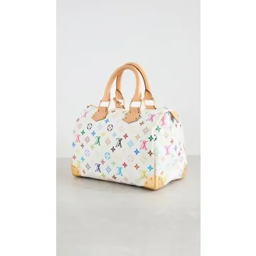 Shop Pre-Loved Louis Vuitton Rainbow Speedy30 Bag