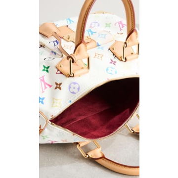 Shop Pre-Loved Louis Vuitton Rainbow Speedy30 Bag
