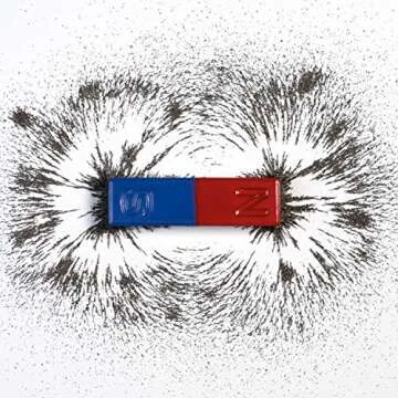 SPACECARE Magnetic Sand Iron Filings Iron Powder Filings Magnetic Power for Magnet Education and School Projects, Storage (12 Ounces) with Shaker Lid, 1 Pack Iron Oxide Powder Shavings for Science