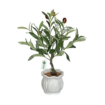 BESAMENATURE Artificial Olive Tree, Desktop Faux Fruit Tree for Home Office Decoration, 14" Tall